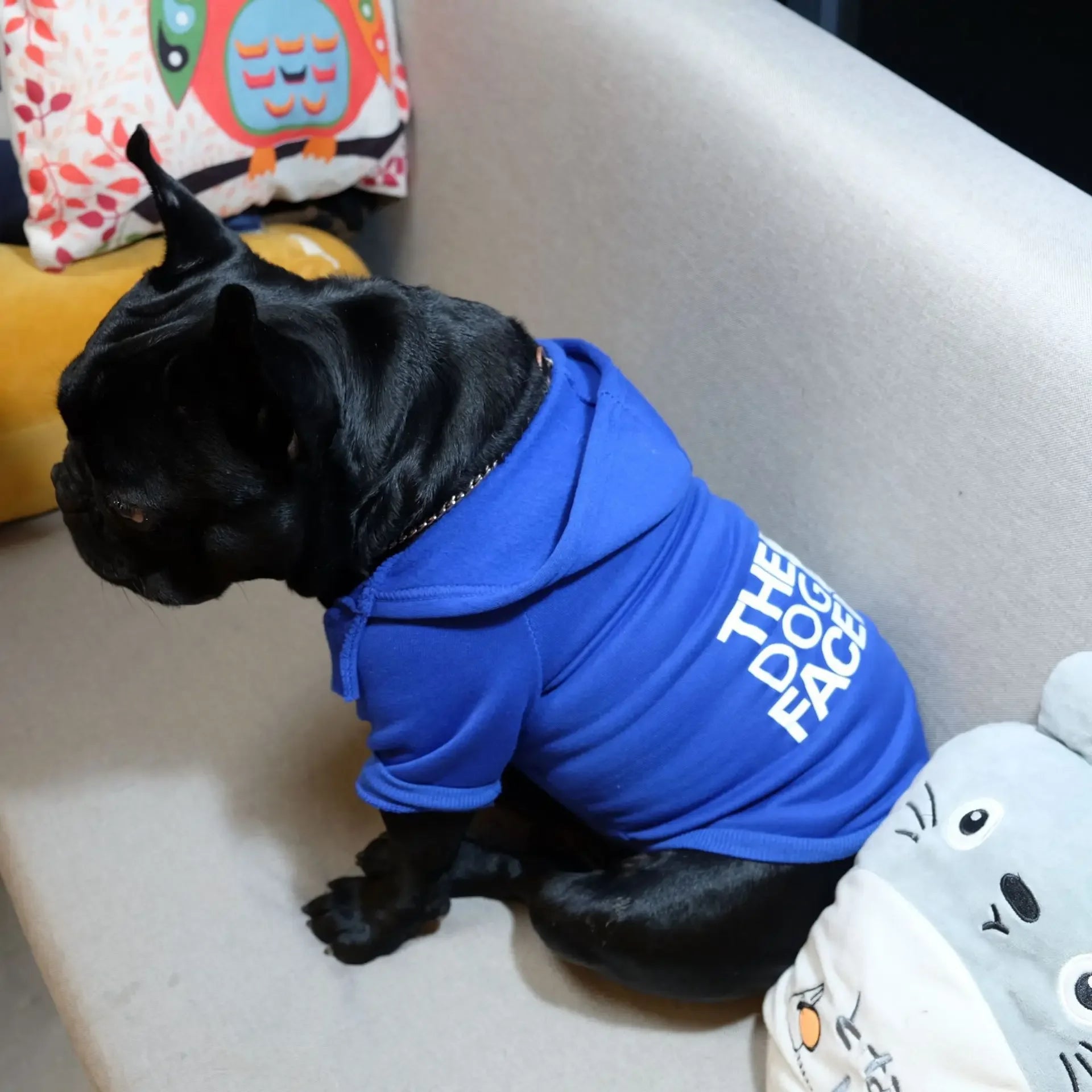 Companion Hoodies "Dog Face"