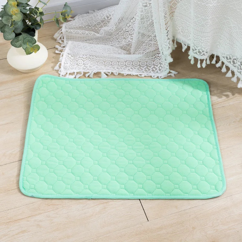 Reusable Dog Pee Pad Blanket "Washable"