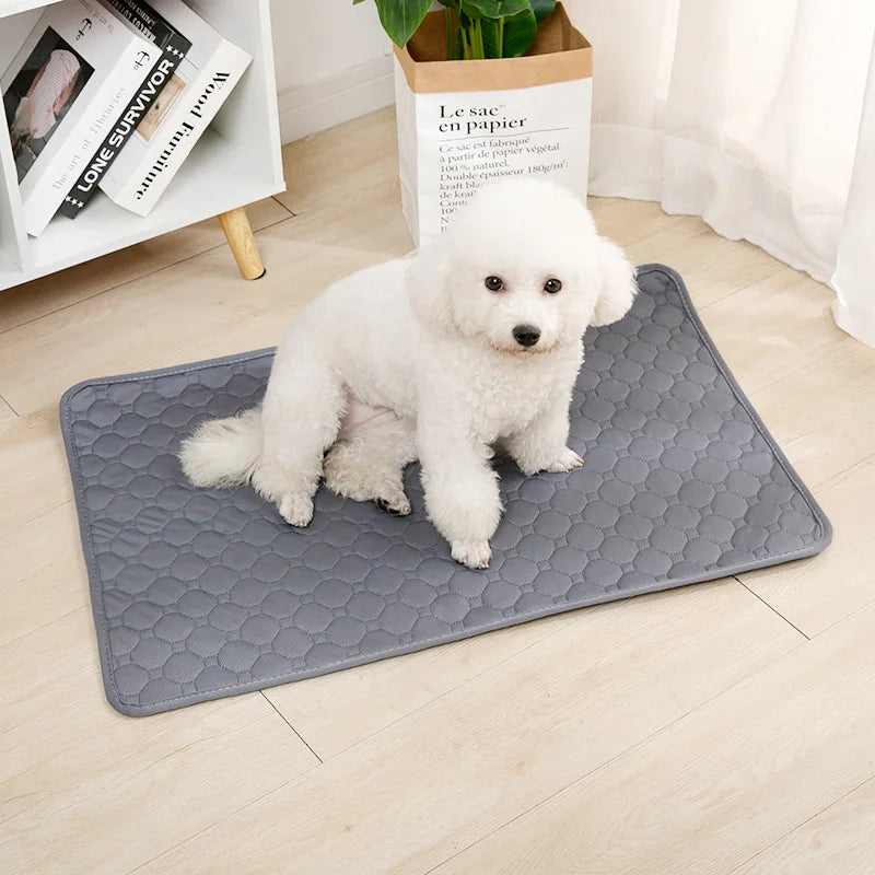 Reusable Dog Pee Pad Blanket "Washable"