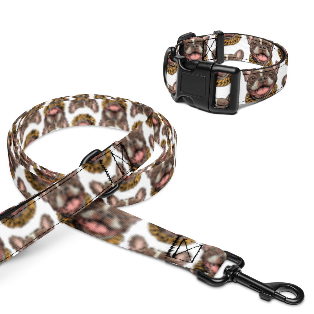Pet collar & leash